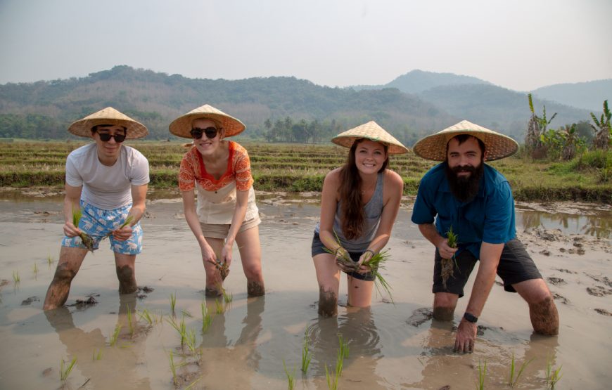 Laos – Luang Prabang At Glance 5 days 4 nights